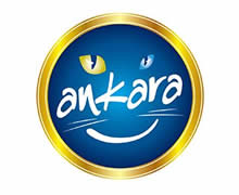 Ankara